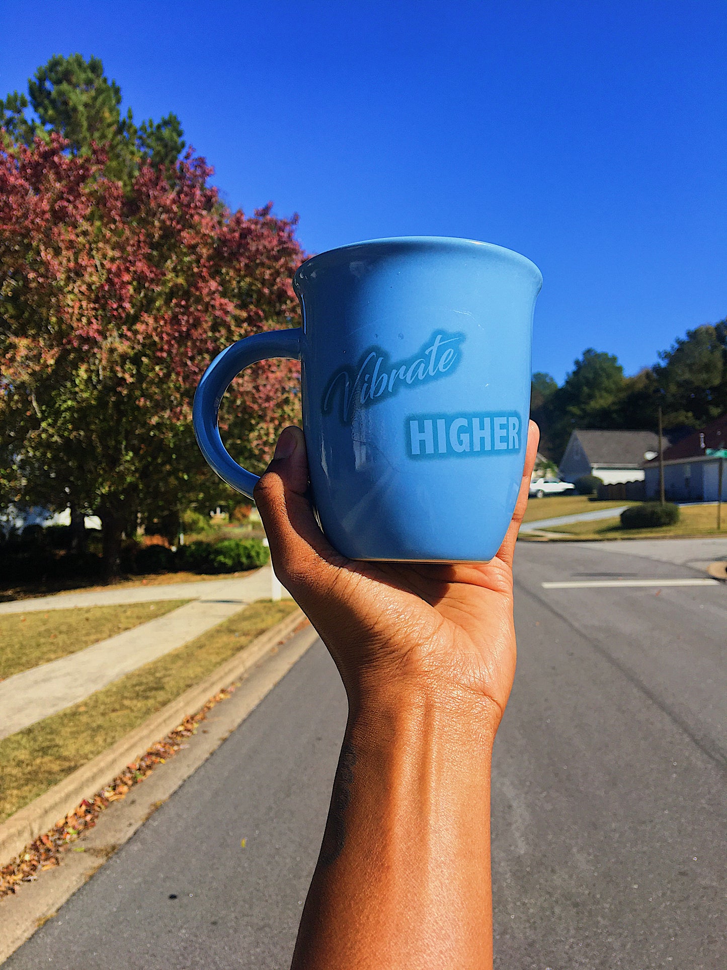 Vibrate Higher - Mug